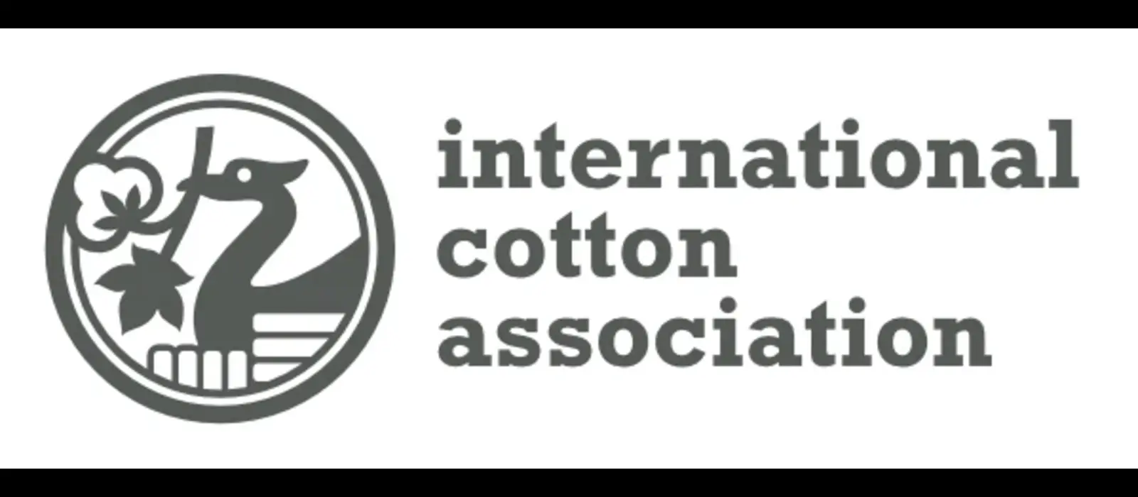 Aqabah cotton international